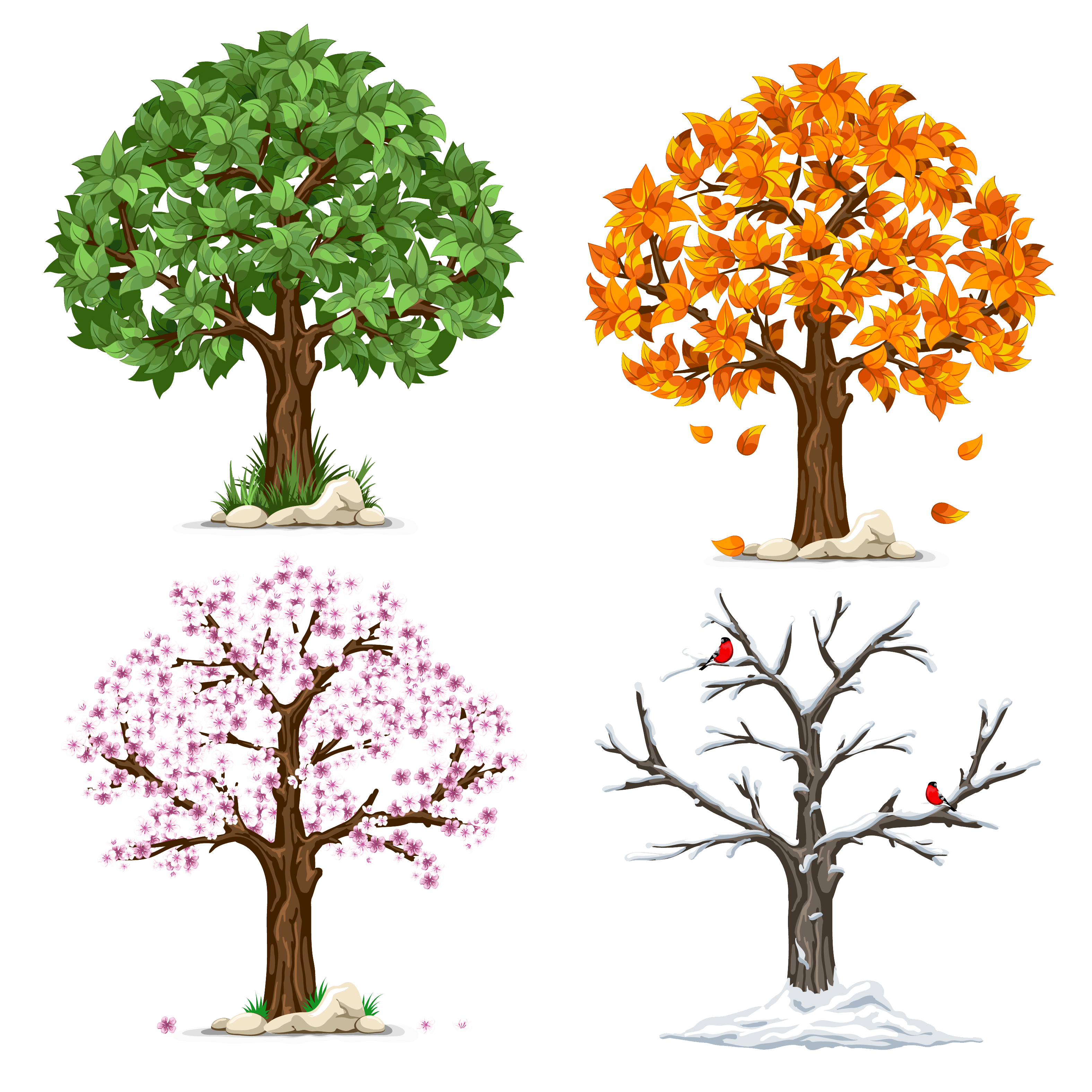 Traditional Chinese Medicine herbs and tools